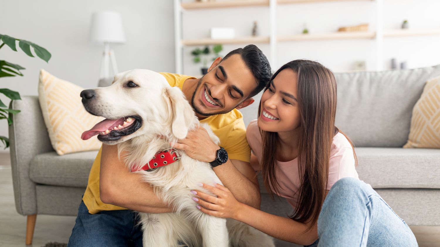 In Texas, an owner’s affection for a pet is not compensable.