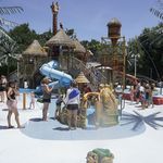 Safari Splash